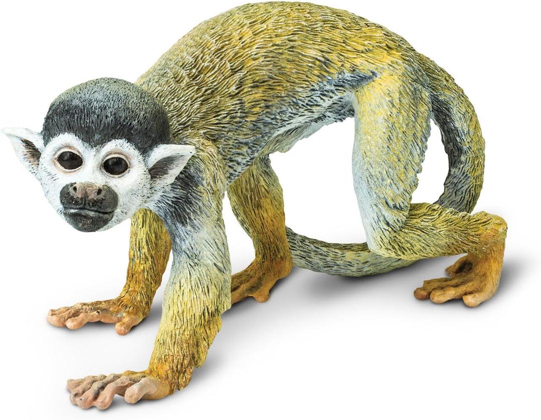 Safari Ltd. Squirrel Monkey Figurine - Detailed 5.75" Plastic Model Figure - Fun Educational Play Toy for Boys, Girls & Kids Ages 3+