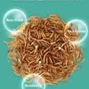 Reptile Food Dried Mealworms Pet Worms Food for Bearded Dragon, Lizard, Turtles, Chameleon, Monitor, Frog, Sugar Glider, Chickens, Birds, Hamsters and Hedgehogs (3.5 OZ)