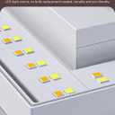 EDISHINE 2 Pack LED Outdoor Wall Lights Exterior/Interior, 3000K-5000K Dimmable Wall Sconce, Small Square Modern Exterior Lighting Fixtures, IP65 Waterproof Aluminum Outside Porch Light, White