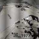 Cow Print Heated Electric Blanket Throw,50X60 Green Heating Blanket with 10 Heats Levels & 8 Hours Auto Off, Highland Cow Decor Stuff Fleece Sherpa Blankets Warmer Gifts for Women Adults Washable, ETL