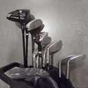 Wilson Men's Profile Platinum Complete 10-Piece Golf Club Package Set - Right Handed, Stand Bag, Tall Carry