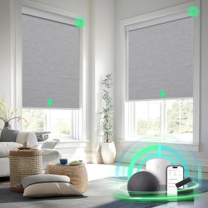Motorized Blinds with Remote Control, Blackout Roller Shades, Custom Smart Blinds with Valance, Cordless Electric Window Blinds & Automatic Shades(Grey,24" Wx72 H)