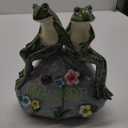 Nacome Solar Garden Outdoor Statues Frog with Succulent and 7 LED Lights - Lawn Decor for Patio, Balcony, Yard Ornament - Unique Housewarming Gifts