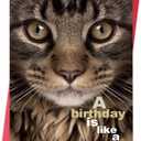 Funny Birthday Card for Cat Mom Cat Dad, Cat Lover Birthday Card Gift for Women and Men, Happy Birthday Card for Cat Lovers (SK-076)