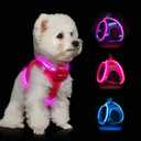 Light Up Dog Harness,Rechargeable LED Dog Harness for Small Medium Large Dogs,Reflective Lighted Safety Vest for Night Walking & Camping,Lightweight & Adjustable,Pink, Small