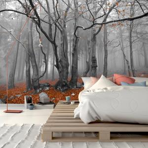 3D Visual Autumn deciduous Forest Wallpaper Hazy Natural Scenery Beautiful Bedroom Large Decorative MuralNon-self-Adhesive Wall Stickers (151"x105")