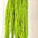 5Pcs Dried Amaranthus Hanging Flowers - 100% Natural 23 Neon Green Preserved Amaranthus Flowers for Wedding Arch, Floral Arrangment, Wall Hanging