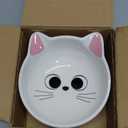 Raised Cat Food Bowl Ceramic 15 Tilted Cat Food Bowls Protect Cat's Spine Anti Vomiting Backflow Prevention Bowls for Adult Kitty, Kitten, and Small Dogs, Pink