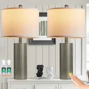 24.5" Grey Lamps Set of 2, Modern Table Lamps for Living Room with USB C+A Ports, Creative Stripe Touch Lamps for Nightstand, 2 Bulbs Included