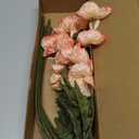 IPOPU Fake Poppies Coral Pink Silk Flowers 6pcs Artificial Poppies Realistic Faux Flowers for Wedding Centerpieces for Tables Bridal Shower Party Decorations (Coral Pink)