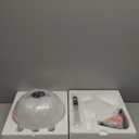 Hair Steamer Kingsteam 2 in 1 Ozone Facial Steamer, Design for Personal Care Use at Home or Salon Bar