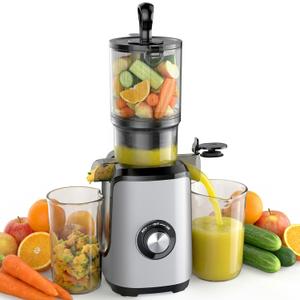 NEWBULIG Cold Press Juicer Machines, Masticating Juicer with High Juice Yield, Reverse Function, Stops Oxidation and Easy to Clean for Vegetables & Fruits, Silver