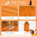 DELIFUR Dog Halloween Lion Costume - Adorable Pet Dress Up Clothes Animal Warmth Cosplay Holiday Coat for Small and Medium Dog Funny Outfit Comfort (Orange Lion, Large)