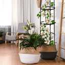 Garden Obelisk Trellis for Climbing Plants Outdoor 6 Ft Rose Bush Round Trellis for Pots Rustproof Metal Plant Flower Trellises for Clematis Vine Jasmine Support Outdoor Indoor (Black)