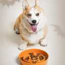 LE TAUCI Ceramic Slow Feeder Dog Bowl for Small Medium Dogs & Puppy, 1.5 Cup Puzzle Food Dish to Slow Down Eating, Pumpkin Orange