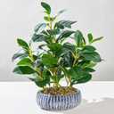 NASAMA Realistic Artificial Potted Plant, Faux Indoor Greenery for Home Office Living Room Bookshelf Bathroom Decor, Low-Maintenance Space-Saving Fake Plants with Modern Decorative Vase