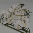 27" Artificial Phalaenopsis Flowers 6 Pcs White Artificial Orchid Flowers Stem Plants for Home Dcor