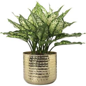 MyGift 6-Inch Shiny Brass Tone Metal Plant Pot with Hammered Texture, Cylindrical Indoor Succulent Planter - Handcrafted in India