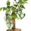 Plant Terrarium Propagation Stations with Wooden Stand, Glass Vase for Indoor Hydroponics Home Garden Office Decoration Gift for Women - 4 Love Bulb Vase (Green)