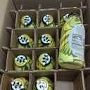 Harney & Sons Pack of 12 Harney & Sons Lemonade 16 oz, Best By: APR 21, 2027