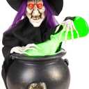 Haunted Hill Farm 1.8-Ft. Witch Pouring Potion Tabletop Animatronic
