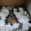 24" Spring Summer Front Door Wreath, Life-Like Artificial White Dahlia Hydrangea Wreath for Wedding Valentine's Day Mother's Day Memorial Day