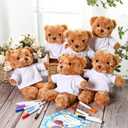 40 Pcs Make Your Own Stuffed Animal Bear Kit DIY 2026 Graduation Plush Gift 10 Pcs 9.84 Inches Rose Velvet Bear 10 White T Shirt 10 Set 12 Color Pen and Card for Graduates Party Craft Gift (Brown)