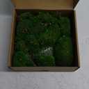 1.5 Sq. Ft. Preserved Moss Pole Decorative Moss for Crafts, Art, Wall Decor,Dark Green