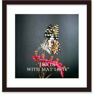 18x18 Frame Black With Mat 14x14 Solid Wood Picture Frames Wall Mounting (1 pack, 18x18 Inch)