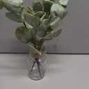 Amazon.com: Muhanjia Artificial Eucalyptus Stems in Glass Vase with Faux Water,3Pcs Fake Plant with Double-Sided Green Leaves for Centerpiece(Double-Sided Green Eucalyptus) : Home & Kitchen