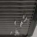 GE Window Air Conditioner Unit, 6,000 BTU for Small Rooms up to 250 sq ft. with Adjustable Fan and Cooling Settings, Perfect for Bedroom or Living Room, Easy Install Kit Included, Black