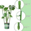 4 Pack Garden Plant Support Tomato Cage, Upgrade 18" Trellis for Climbing Plants, Plant Trellis Kits (18")