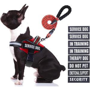 Service Dog Vest Harness and Leash Set, Animire in Training Dog Harness with 10 Dog Patches, Reflective Dog Leash with Soft Padded Handle for Dogs (RED,M)