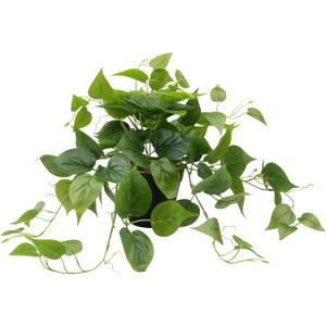 LOYWREE Artificial Scindapsus Aureus Fake Pothos Plants in Black Pots - Realistic Faux Indoor Greenery Potted for Home, Office, Desk, Shelf, Living Room, Bedroom, Balcony, Patio & Garden Decor