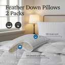 Hotel Grand Bed Pillows Queen Size Set of 2 Packs - 500 Thread Count 100% Cotton Medium Firm Hypoallergenic Feather Down Pillows Machine Washable Pillow for Back, Stomach or Side Sleepers, 20"x28"