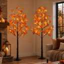 5FT LED Lighted Maple Tree 2-Pack for Indoor Outdoor Home Décor