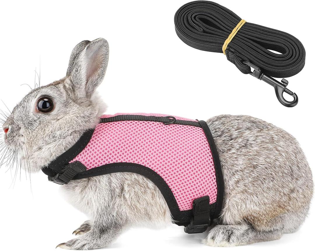 PETTOM Bunny Rabbit Harness with Stretchy Leash Cute Adjustable Buckle Breathable Mesh Vest for Kitten Small Pets Walking (Pink,XS) (Xs(chest:7.87-10.6 In))