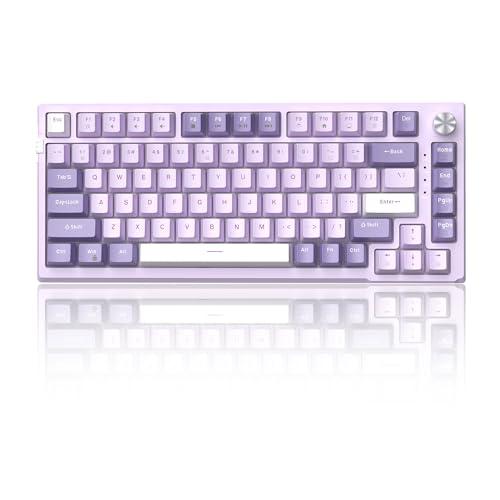 MageGee SKY81 75% Mechanical Gaming Keyboard, Gasket Hot Swappable Wired Custom Creamy Keyboard with 5-Layer Sound Dampening, Knob Control, RGB Backlit, NKRO for Win/Mac (Violet, Violet Switch)