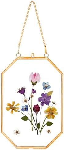 Pressed Flower Frames, Glass Floating Frames for Display Dried Plant Specimen Picture, Hanging Brass Photo Frame with Chain, Double Clear Glass, Vintage Wall Decor, Octagon, Gold, 4x6 Inches | Floating Frames for Display Dried Plant Specimen Picture