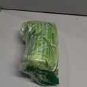 Flybloom Willow Leaves Print Sheer Curtains for Living Room Bedroom Fresh Style Window Curtain(Green)