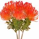6 PCS Tropical Flowers Artificial UV Resistant Fake Plastic Protea Fake Spider Mum Flower Arrangement for Table Centerpieces Home Kitchen Office Indoor Outdoor Decor