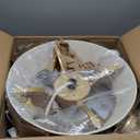 Boho Fandelier Ceiling Fan with Light and Remote Rattan Chandelier Fan Gold Caged Ceiling Fan with Light for Bedroom, Living Room NurseryFoyerKitchen6 Speed, Timing Adjustable Height