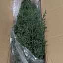 Christmas Cedar Garland Realistic - Cypress Decorations with Lights 6ft for Mantle Lighted Faux Pine Garlands for Xmas Home Decoration Indoor Stairs Railing 6 ft Fireplace Outdoor Prelit Door Decor (5.8 Ft)