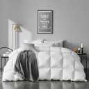 APSMILE Queen Size Feathers Down Comforter - Ultra Soft All Seasons 100% Organic Cotton Feathers Down Duvet Insert Medium Warm Quilted Bed Comforter with Corner Tabs (90x90,Ivory White)