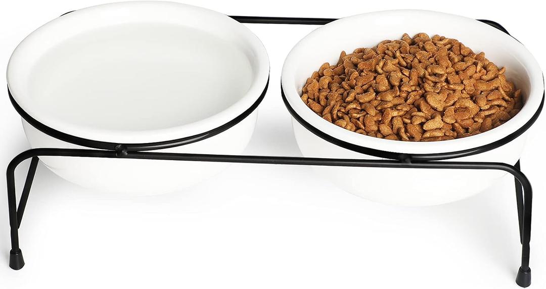 GDCZ Elevated Cat Bowl Stand, 11 in Metal Stand with 2 Removable 15 OZ Ceramic Bowls for Pet Food and Water, Stand Reduces Cat Neck Burden, White