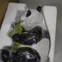 10.3 Inch Large Solar Garden Panda Statue