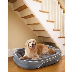 OhGeni Orthopedic Dog Bed Couch for X-Large Sized Pets with Egg Foam Support, Four-Sided Bolster Cushions, Soft Tear-Resistant Fabric, and Removable Machine Washable Plush Cover 42-Inch (Gray) (X-Large (42 x 31 x 7 Inch), 01-Gray)