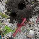 4x12 Inch Auger Drill Bit for Planting - Heavy Duty Garden Tools Auger Drill Bit for Planting Bulbs, Flowers, and Trees