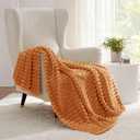 Bedsure GentleSoft Orange Fall Throw Blanket for Couch - Cozy Soft Blankets for Women, Cute Small Fall Throws for Girls, Orange, 50x60 Inches