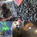 2 lbs River Rocks (1"1.7") Aquarium Gravel, Rocks for Fish Tank Decorative Pebbles for Plants Rocks for Plants Drainage